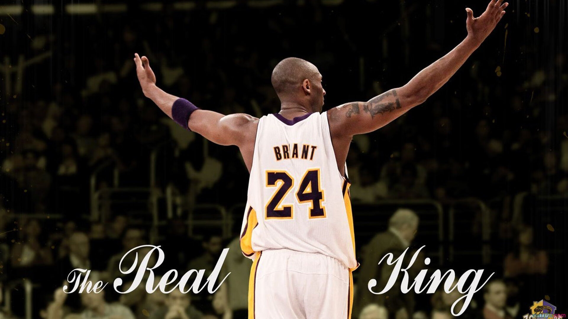 Ning连续十场比赛得分超过险胜,公牛不断突破!观众掌声雷动